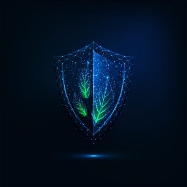cyber-art shield of light on a black background